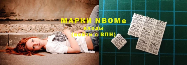 прущие грибы Корсаков