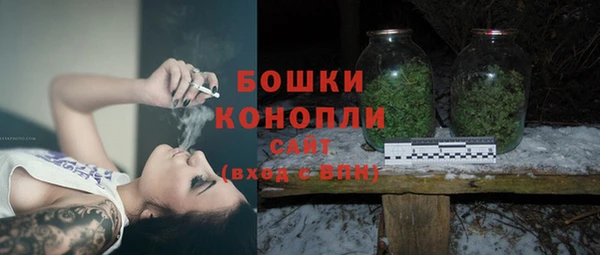 прущие грибы Калининец