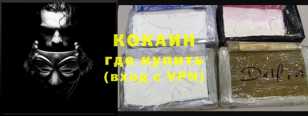 прущие грибы Корсаков