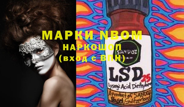 прущие грибы Корсаков