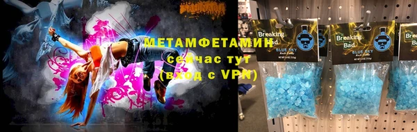 прущие грибы Корсаков
